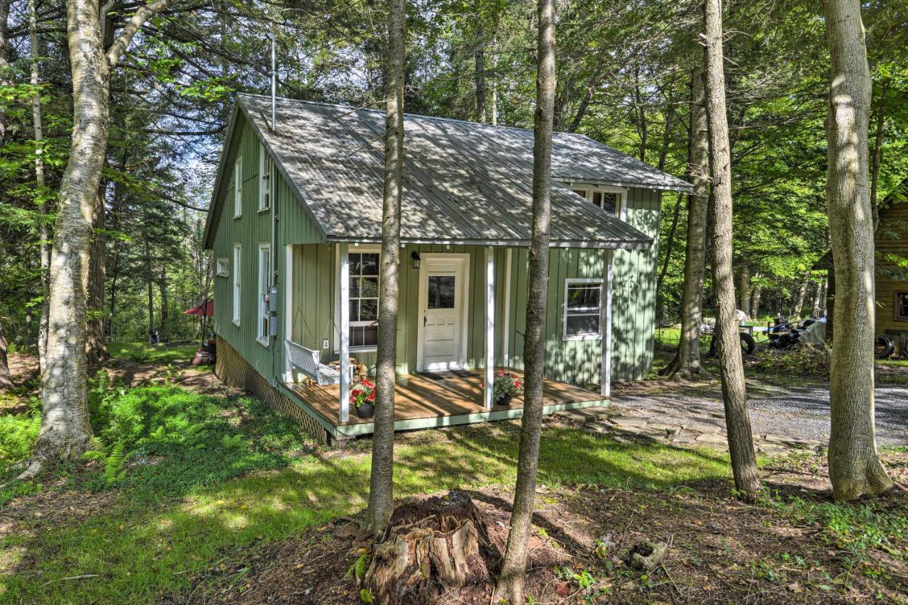 Adirondacks Cabin With Fire Pit On Otter Lake! Forestport Exteriör bild